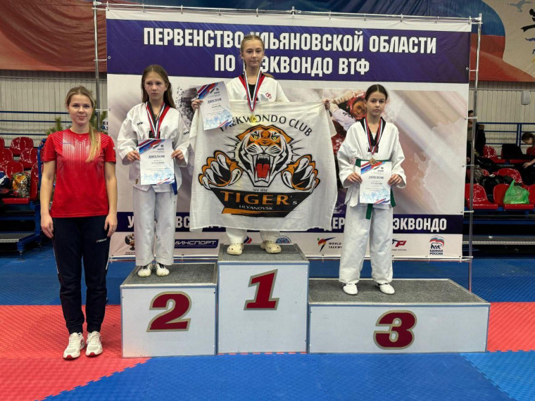Первенство Ульяновской области по тхэквондо.